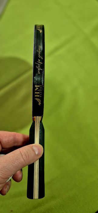 paleta de tenis de masa profesionala sanwei