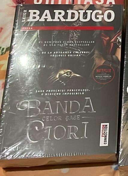 Volumul 1 : “Banda celor sase ciori”