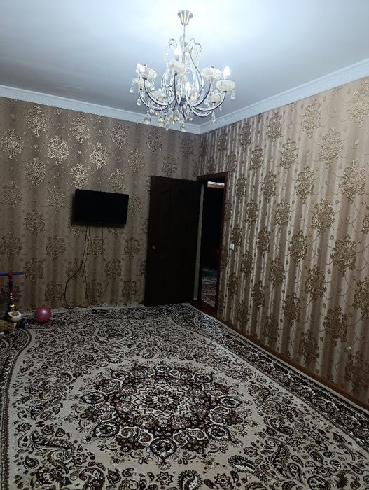 "Tansiqbayev3" 2/5/5