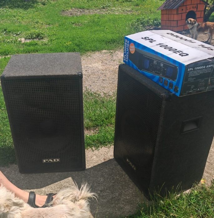 Boxe și amplificator