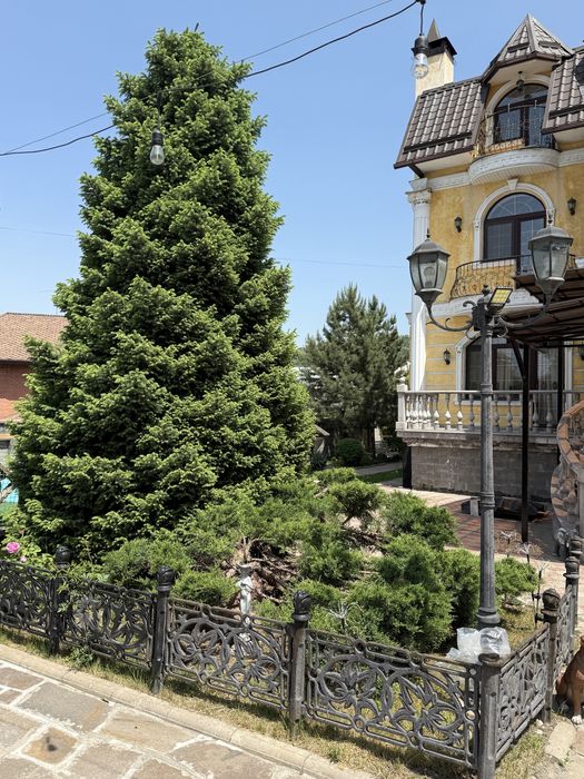 Продам дом в Ерменсае