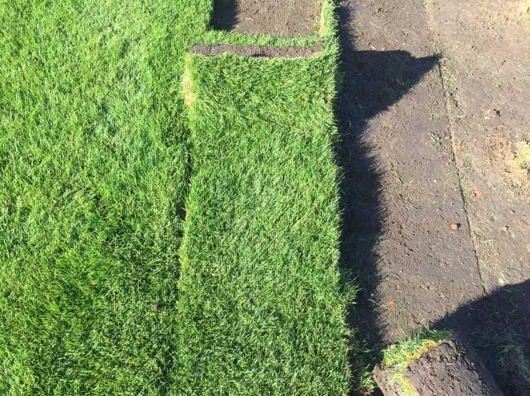 Gazon Natural cu Prindere 100% – Livrare și Execuție Imediată