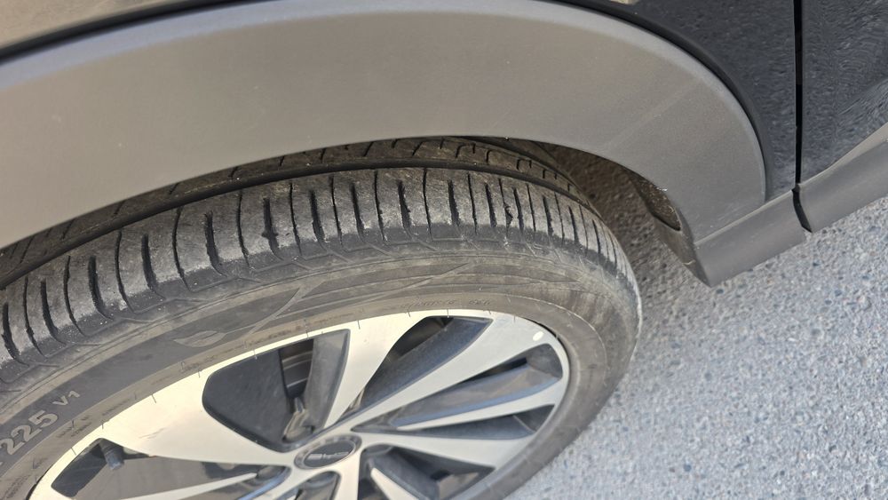 Byd song plus chempion