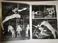 Carte-Album - Circul Animalelor