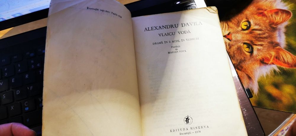 Vlaicu Voda - Alexandru Davila - Editura Minerva 1978