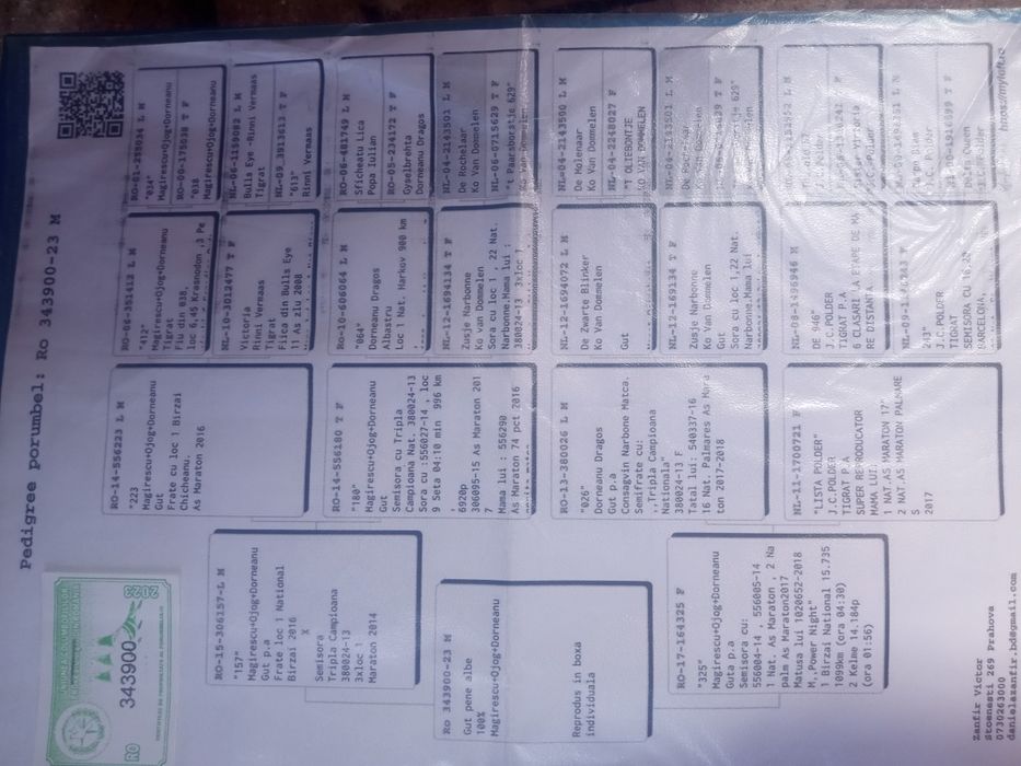 Porunbei de vînzare voiajori 2025.