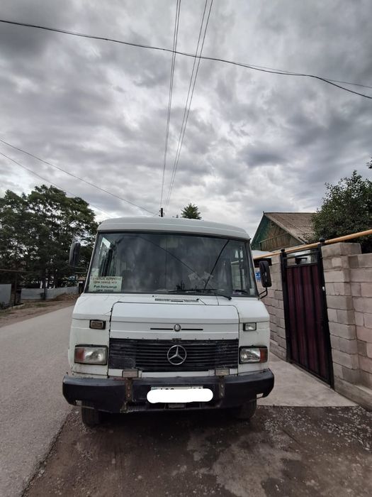 Mercedes-benz 309 D