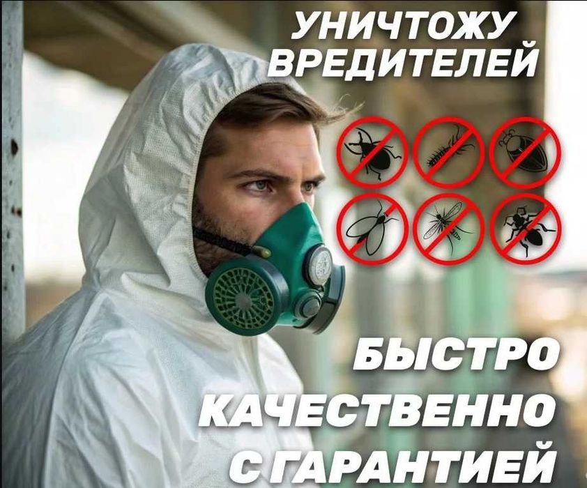 Профессиональное уничтожение насекомых и грызунов | С гарантией