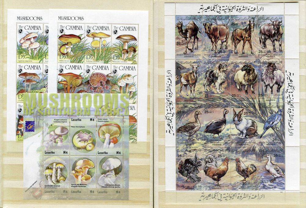 Албум KaBe A5 с над 400 чисти марки (MNH) африкански държави и 7 блока