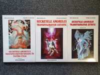 Secretele Amorului Transfigurator Extatic in TANTRA YOGA Douglas 3 vol