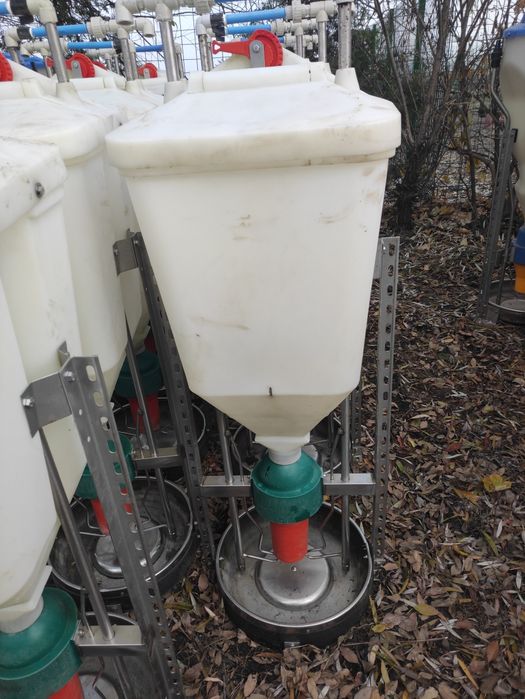 Hranitoare porci boxa fatare