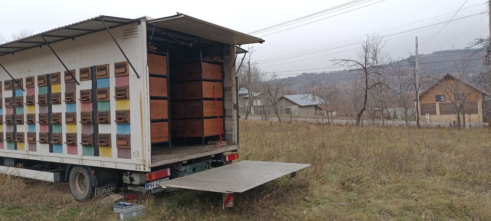 Camion Man 12 tone apicol