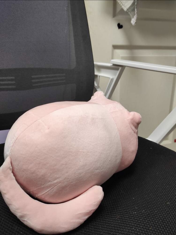 Plusuri pisica , squishmallows