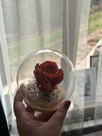 Вечна роза