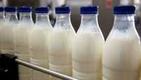Vand lapte de vaca si produse lactate