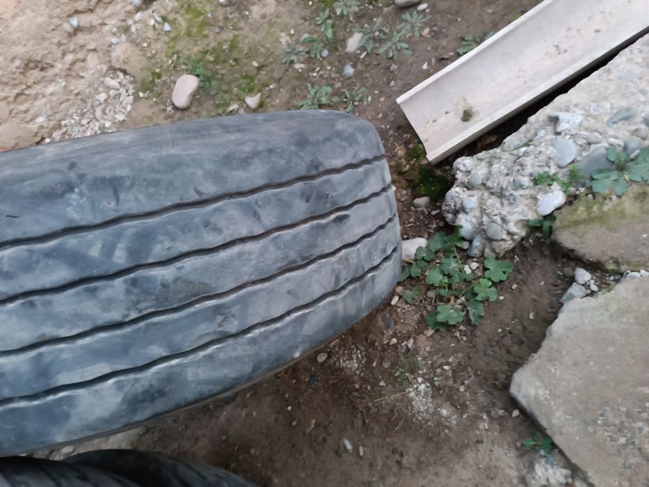 Прецепный болоны