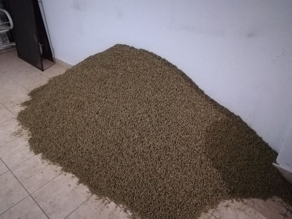 granule iepuri si pui gata în saci sau pe comanda