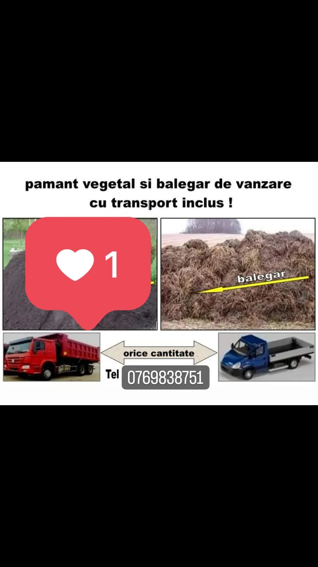 Transport NON-STOP Bălegar cal vaca nisip piatră pământ negru chișai