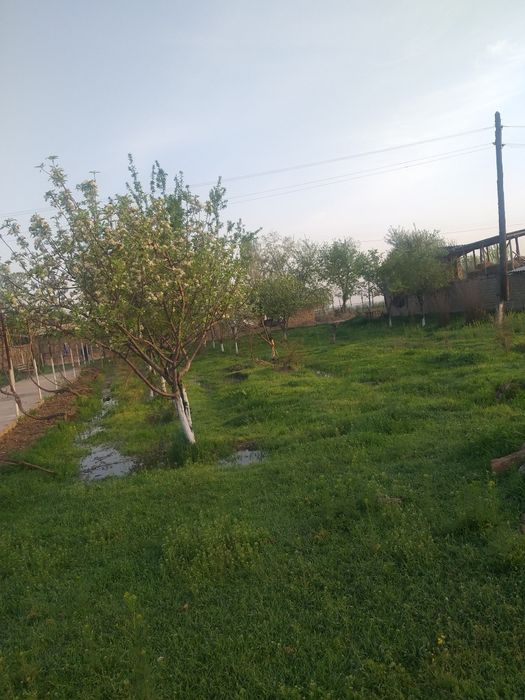 Уй сотилади 15000 Бука