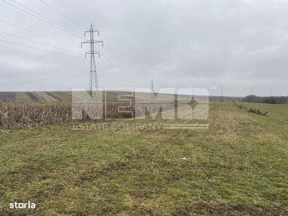 Teren Burdujeni | Zona Tarinca | 41 Ari