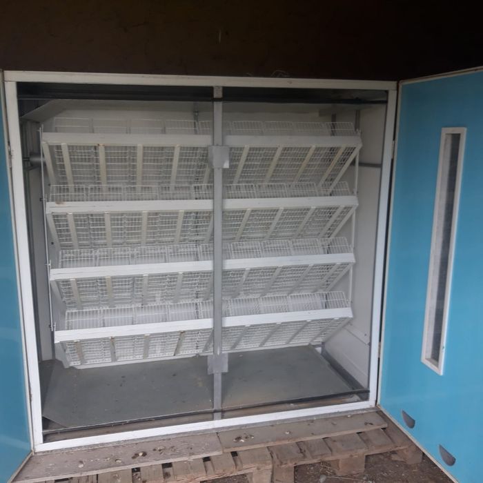 Инкубатор Рэмил-Ц