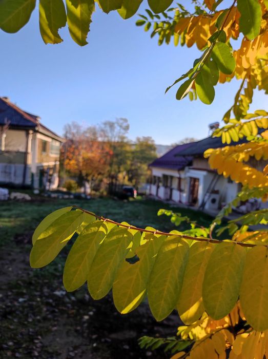 Două case cu mult teren