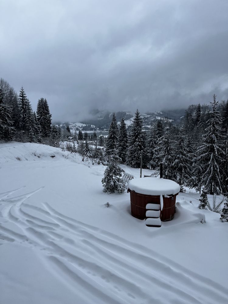 Cabana de închiriat Colibița