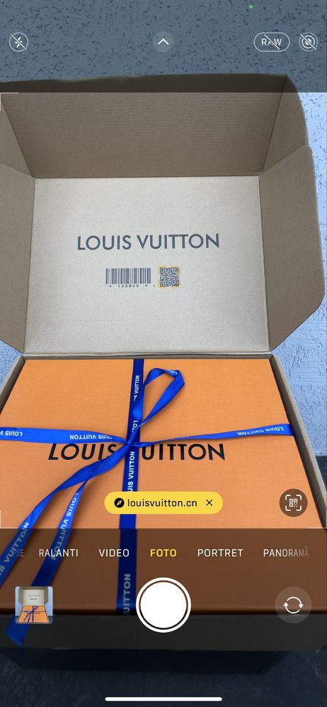 Louis Vuitton - LV Trainer leather low