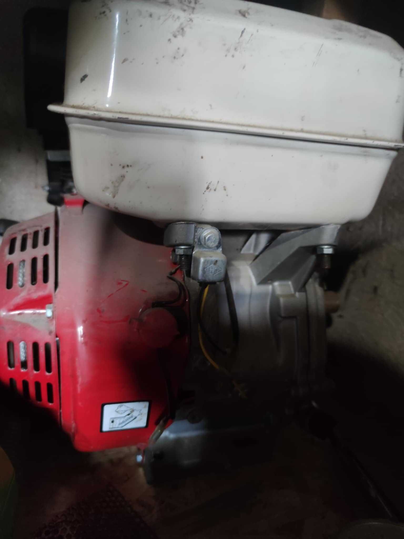 Motor 13 cai  ca nou