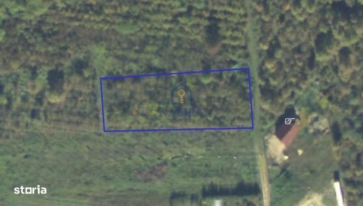 Vanzare teren -  Tautii Magheraus - strada 4