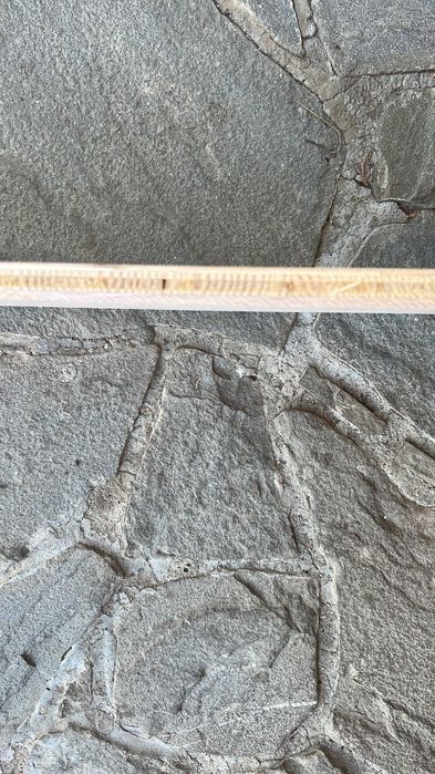 parchet paltin triplu stratificat