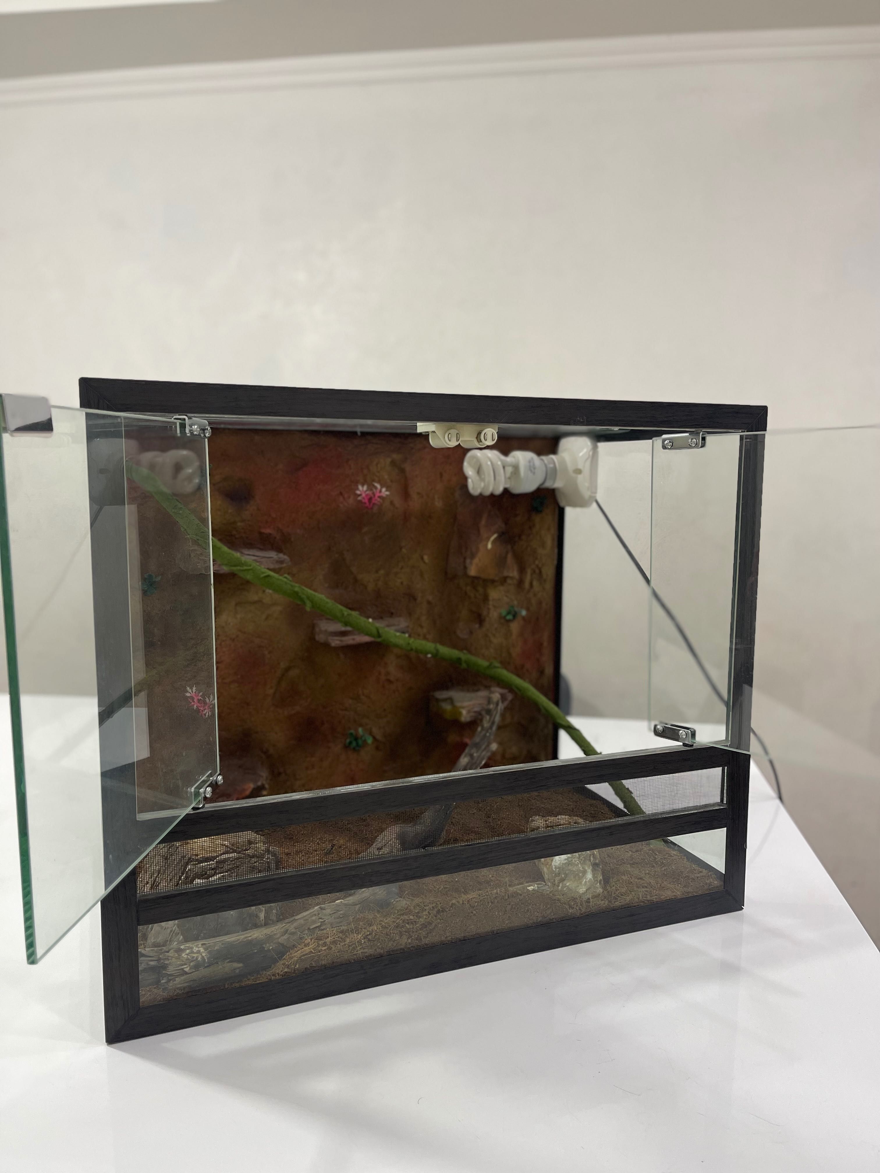 Terrarium | Террариум