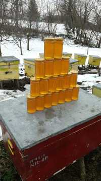 Producator miere de albine salcam tei poliflora din stupina proprie