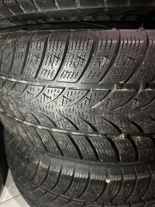 зимние шины triangle 215/55/16