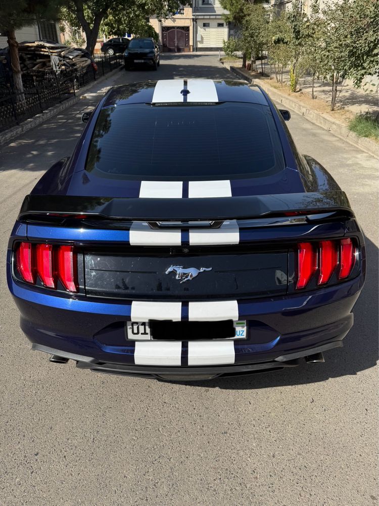 Ford Mustang Shelby GT500