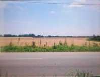 Teren intravilan 2760 mp, Ordoreanu Clinceni, Ilfov