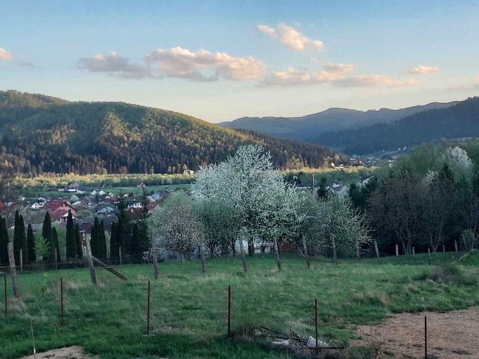 De vanzare Casa noua (2022) cu 3100 mp teren,