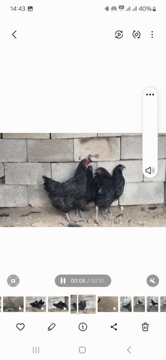 Продам Продам Продам