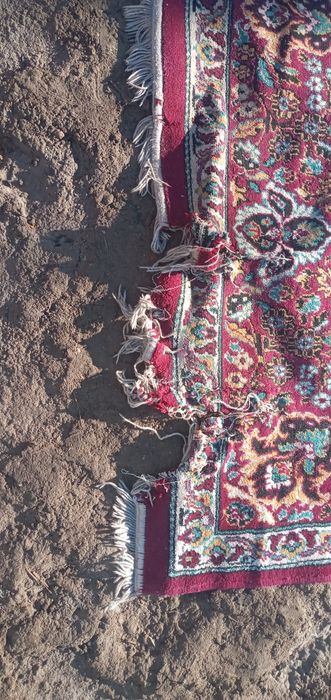 Gilem jagdayi jaqsi 300 мын