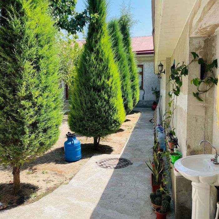 Тинчлик махалла 3.7 сотых Сотиги 65.000$