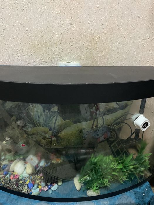 Аквариум сотилади хичнарса булмаган янгидай алохида сотилмайди