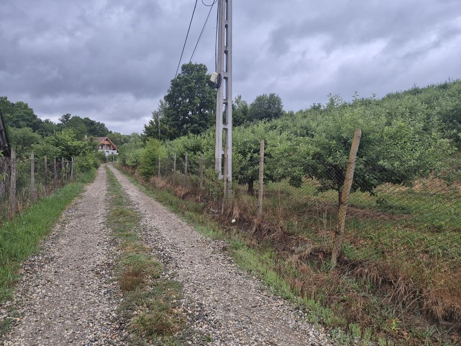 Teren extravilan aproape de Bistriţa