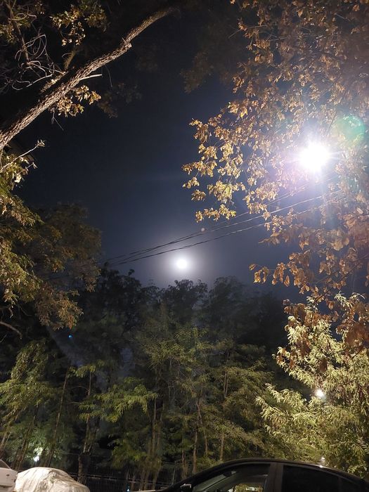 Вывоз строй мусора, курилиш чикиндиларини олиб кетамиз скидка нархлада