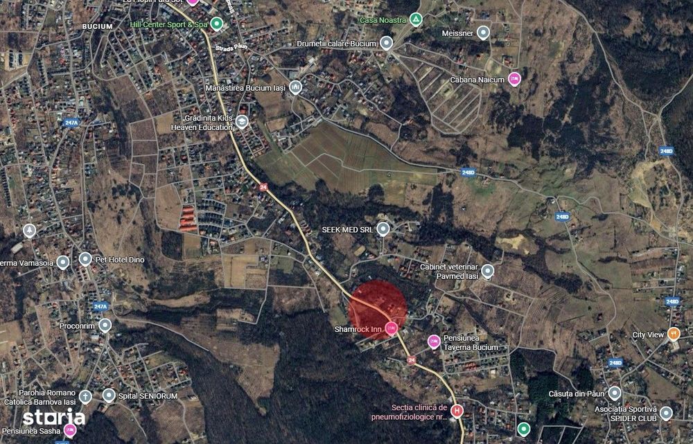 Bucium - Shamrock Inn, 710mp intravilan de vanzare, toate utilitatile