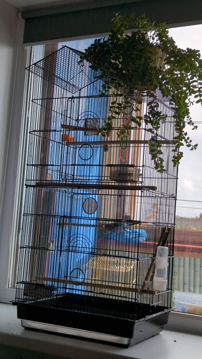 Продам клетку с попугаем