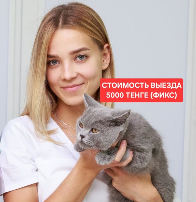 Ветеринар Вакцинация Ветеринарный врач на дом Эвтаназия выезд вызов