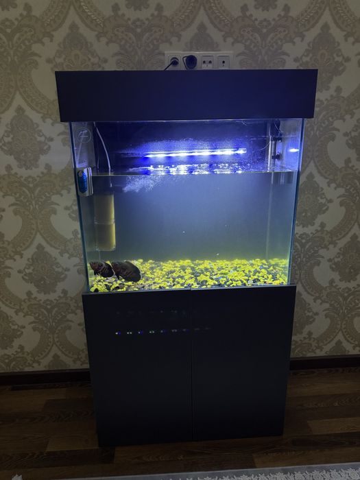 Аквариум 300л с рыбками