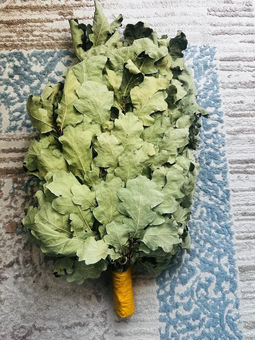 Продам дубовый Лечебный веник