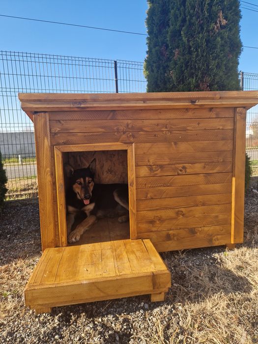 Paw House-Cuști pentru câini și pisici, realizate la comandă.