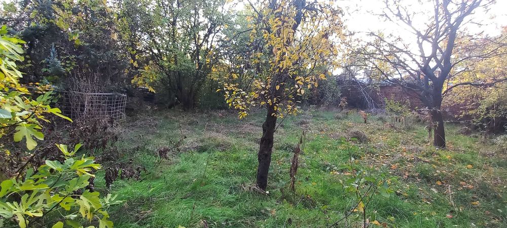 Продава се Парцел в с. Столник, Област София-област - 860 кв.м за 100 €/кв.м - Снимка #1